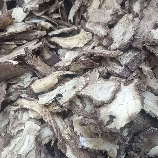 独活中药材独活片甘肃独活产地直销