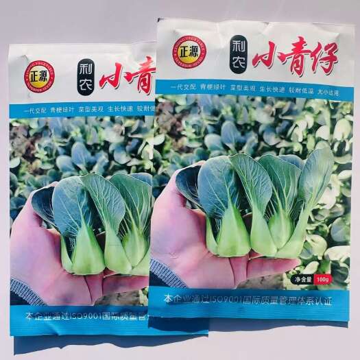 沭阳县利农小青仔袖珍小青菜种子耐寒耐抽苔小青菜种子