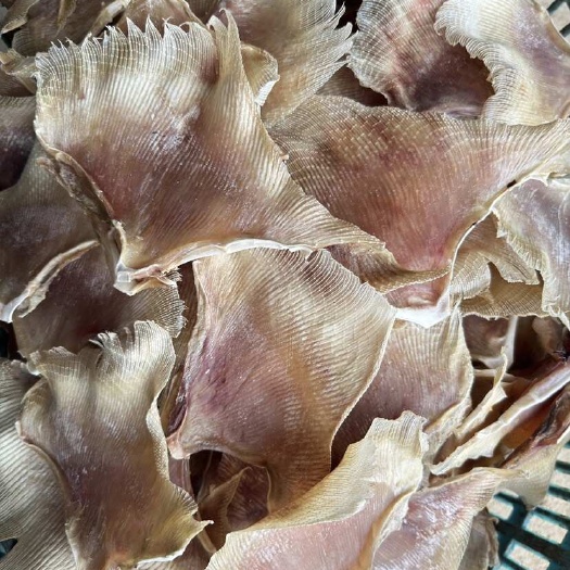 北海鳐鱼翅 浦鱼翅 原汁原味 大片货 35斤一箱
