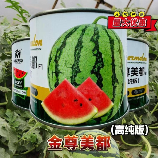 宿迁中科茂华高纯版金尊美都西瓜种子