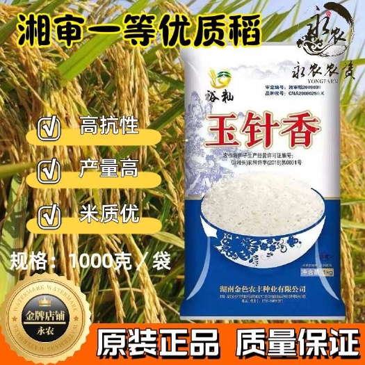祁阳市玉针香谷种优质香米 常规水稻种子晚稻种子米质优浓香米原装正品