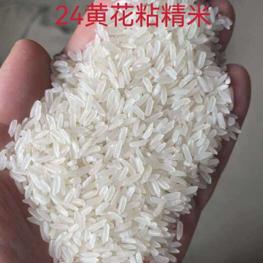 京山市黄花粘精米
