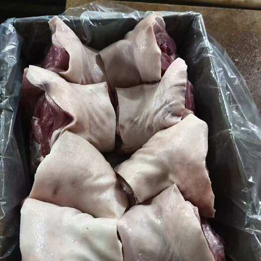 菏泽肥猪后肘，青猪后肘，8个装，单个2.5左右