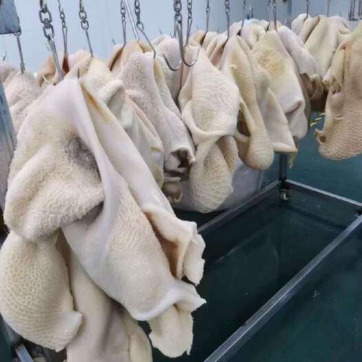 黄骅市国产纯干全熟鲁西黄牛牛肚