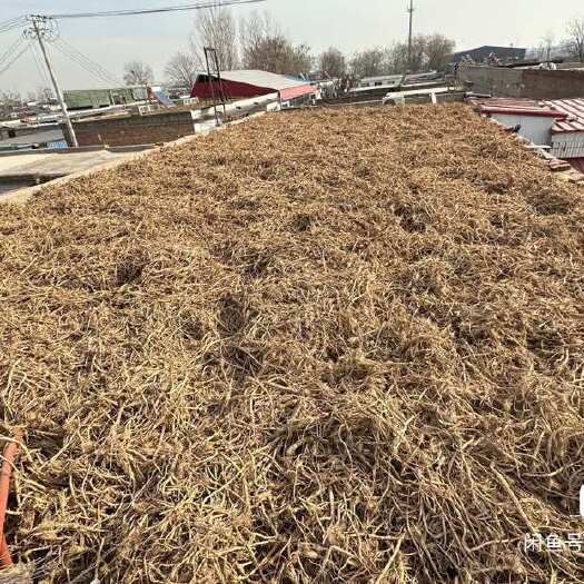 安国市防风 干货 不到3吨