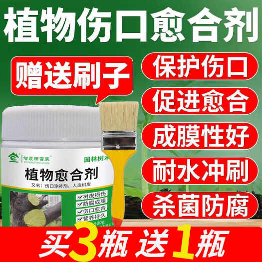 诸城市植物伤口愈合剂果树伤口树皮封口修复涂膜树枝嫁接树干大树涂抹剂