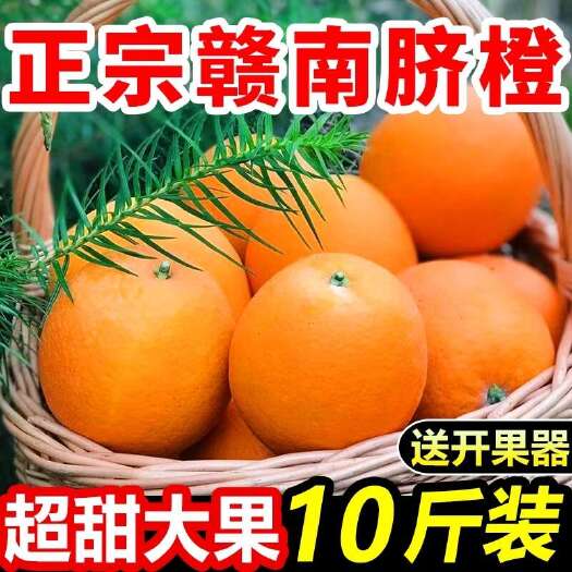东阳市正宗赣南脐橙