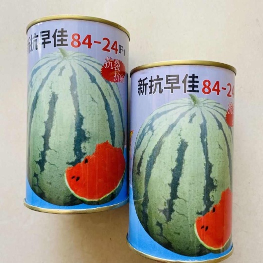 新抗早佳8424西瓜种子中早熟品种