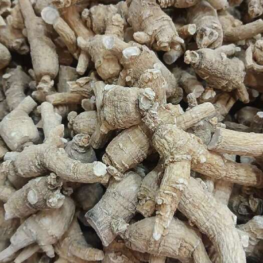 西洋参粒头7克
