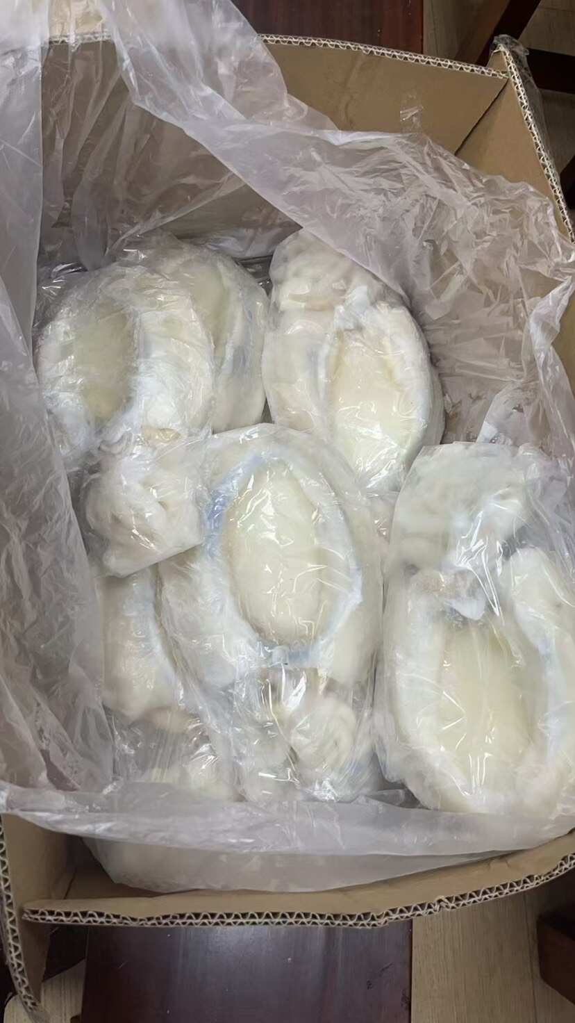 三去墨鱼目鱼干冰新鲜大墨鱼鲜活冷冻特大号超大木鱼大乌贼墨斗鱼