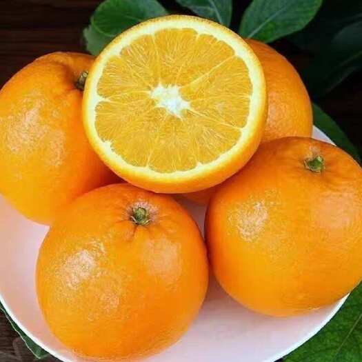 蓬安县自家种植脐橙
