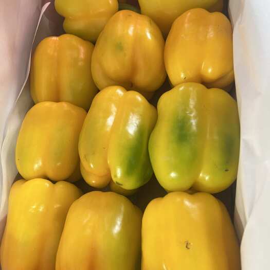 寿光市彩椒，红黄彩椒。