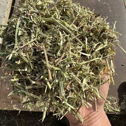 泌阳县新花生秧养殖草料质量无土无膜无霉变纯干草全国发货