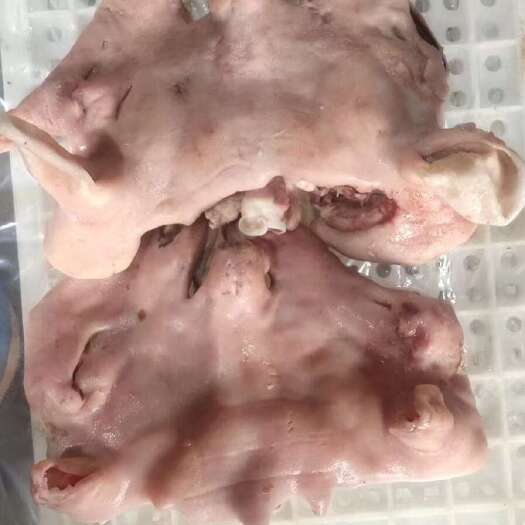 郑州熟羊头肉，熟度高，货好价不贵，大量现货