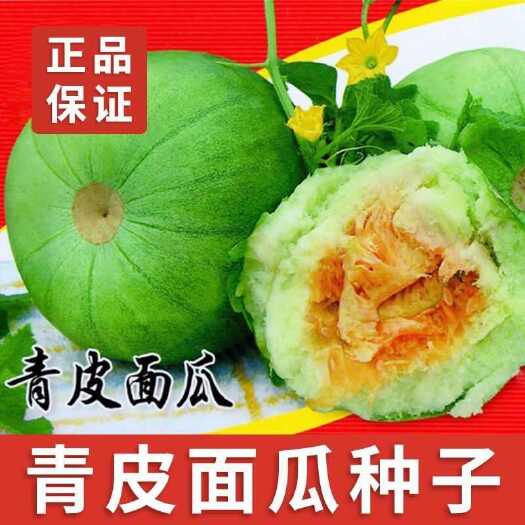 邵东市青皮面瓜种子甜香甜面香瓜甜瓜种籽春秋四季阳台盆栽蔬菜种孑苗秧