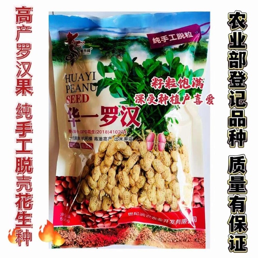 宿迁华一罗汉花生种子 华一GS1210花生种子 信花4号花生种子