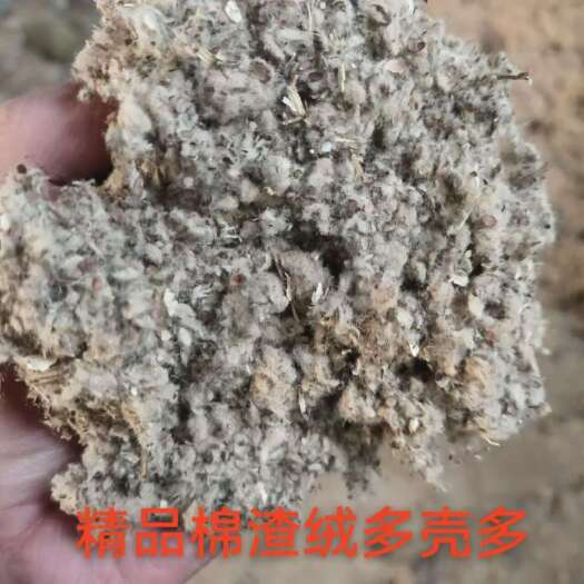 夏津县精品棉渣，碎棉壳的质量
