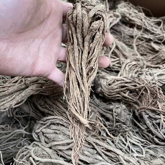昆明云归云南当归干货 大货批发 价格实惠