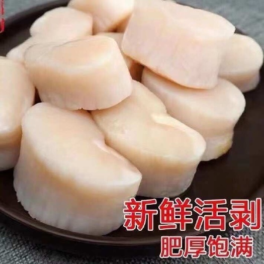 原汁带子肉江瑶贝柱绿贝鲜活现剥绿甲大带子肉
