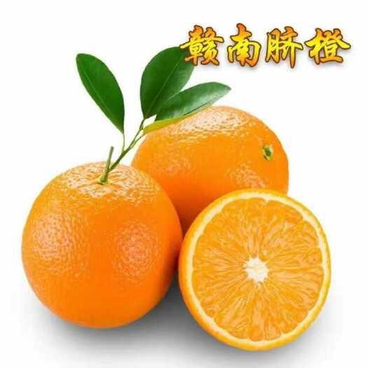 寻乌县新鲜赣南脐橙 江西寻乌直发 果甜汁多