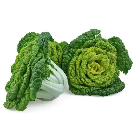 太和县本公司经营各类叶菜，代办代发
