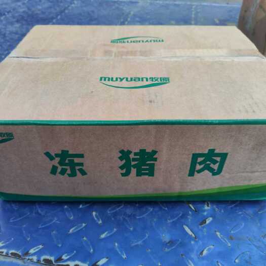 郑州牧原前肘