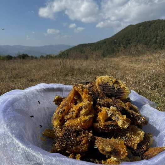 巍山县云南大理大山里的百花蜜