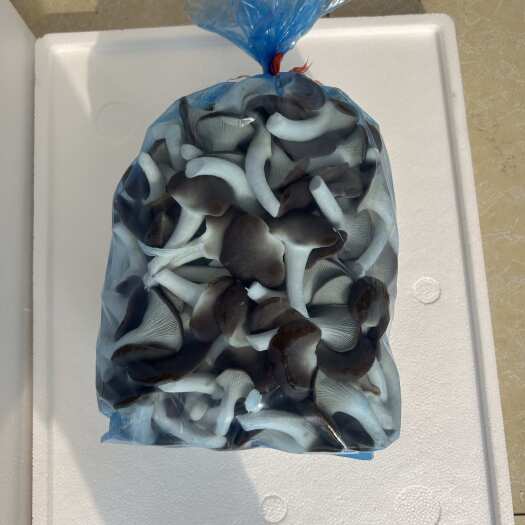 九江秀珍菇