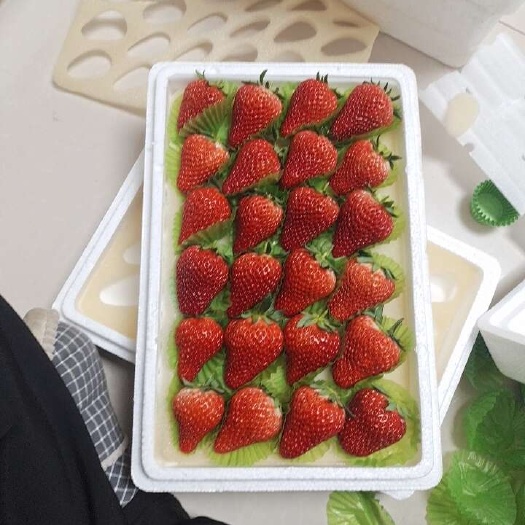 承德草莓大量上市