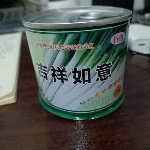 济南吉祥如意    日本大葱种子