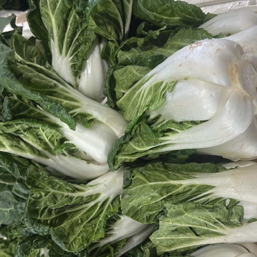 奶白菜