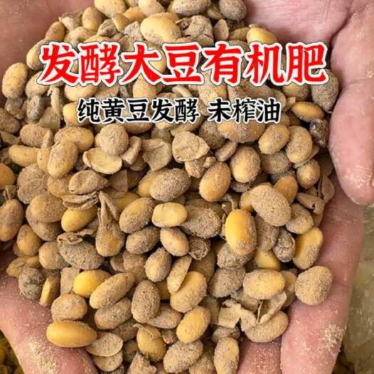 寿光市山东潍坊寿光 发酵大豆有机肥 速发全国