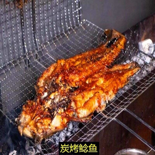 鲶鱼大口胡子鲶新鲜现杀无杂刺烧烤淡水鱼食用包邮批发八须鲶鱼