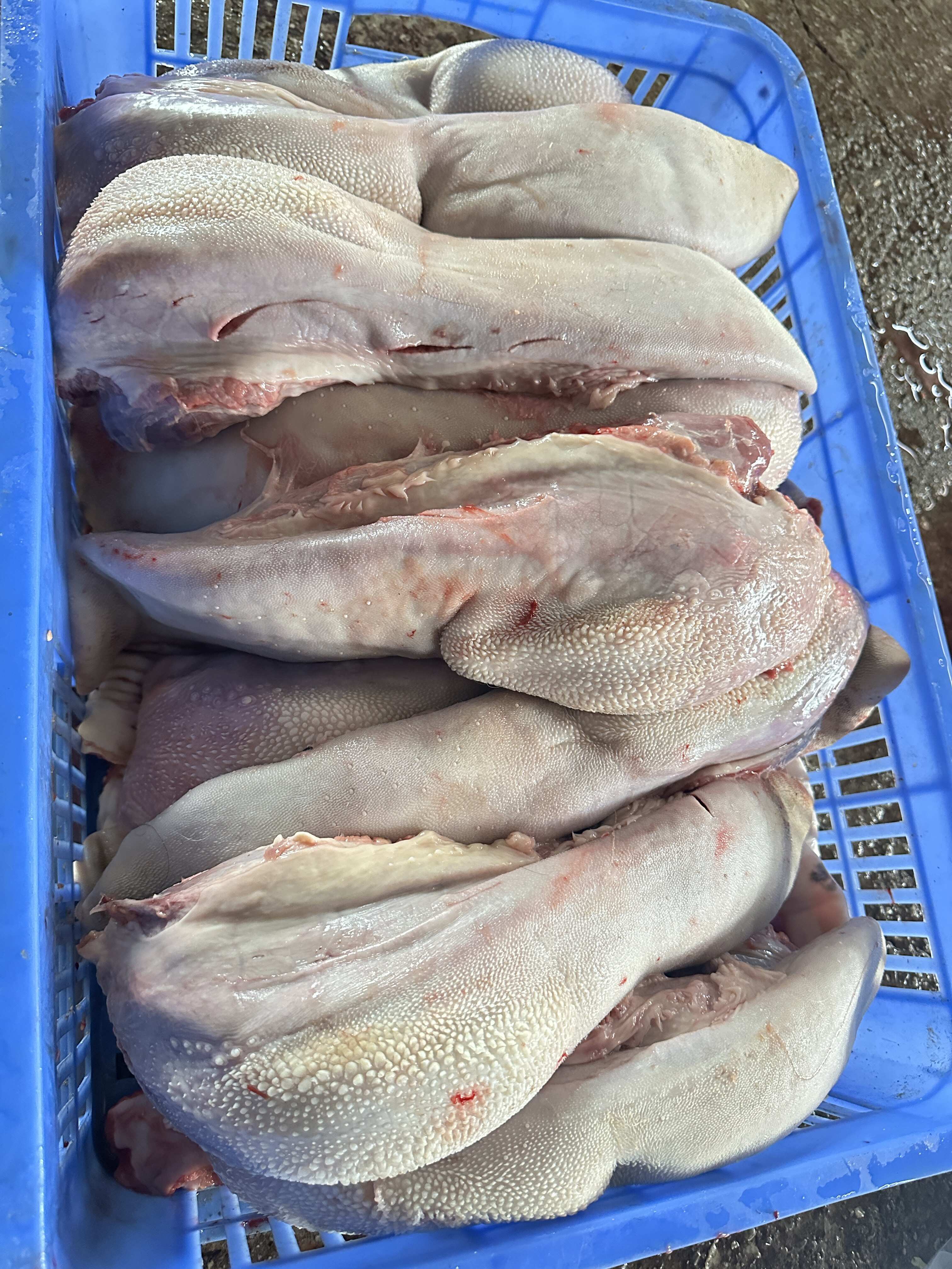 精品牛舌 不带舌根 不带肉