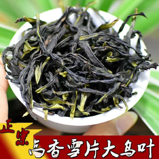 饶平县凤凰单枞茶叶单丛雪片大乌叶