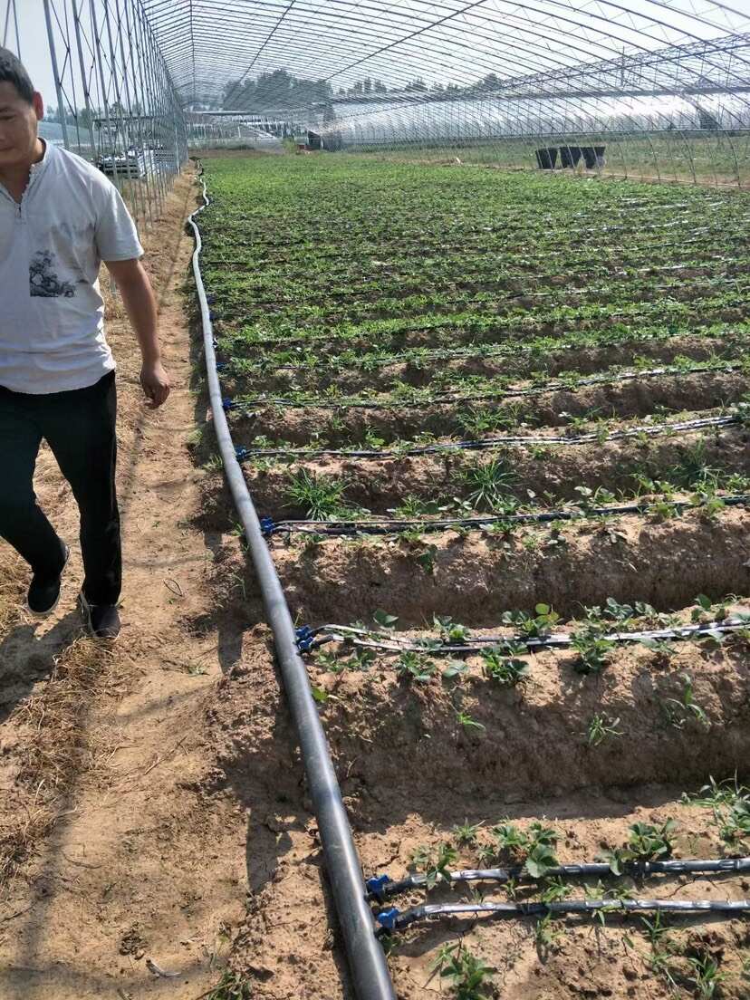 滴灌带滴管农用滴灌管16mm贴片式农用水带