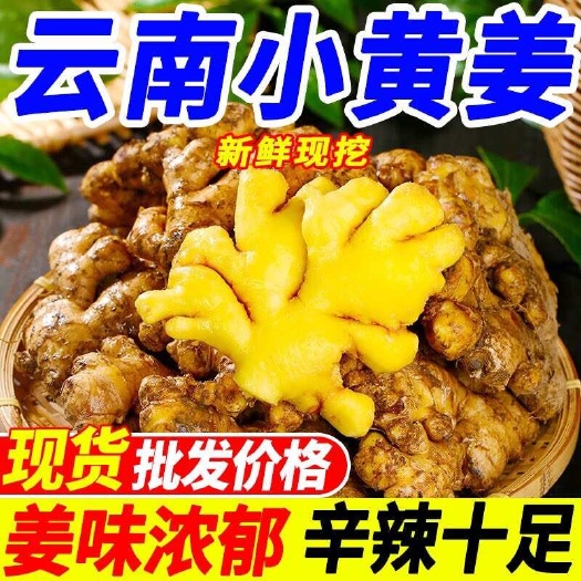 【包邮】云南文山水洗小黄姜新鲜发货蔬菜葱姜蒜类优质生姜特产