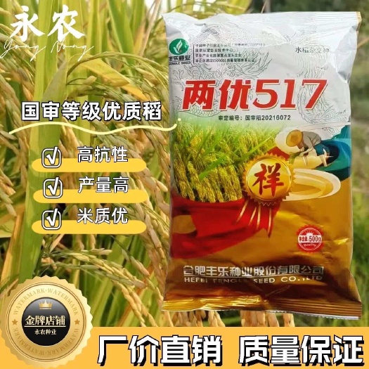祁阳市两优517 籼型水稻种子稳产杂交水稻谷种中稻水稻种香稻米质好