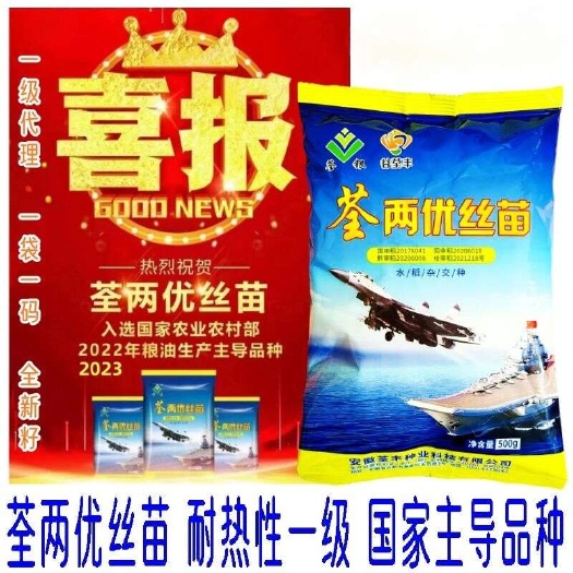 沭阳县【批发】国审稻杂交水稻种子荃两优丝苗品种原包装耐热性一级