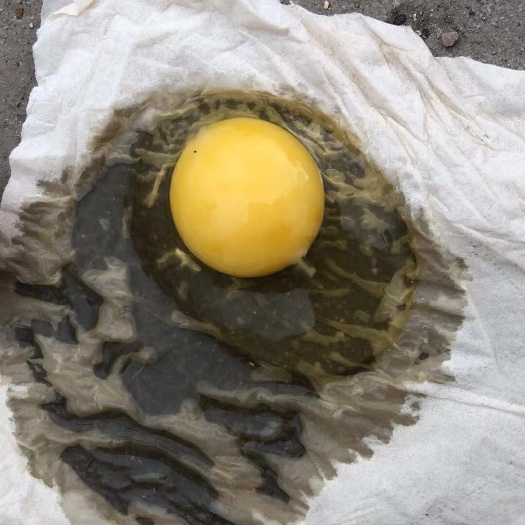 西安36-37的红蛋，大厂货，质量无忧，可自提验货，每天500件