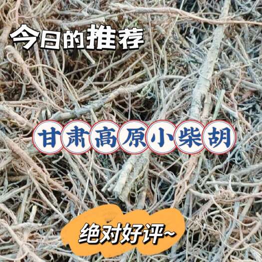漳县柴胡