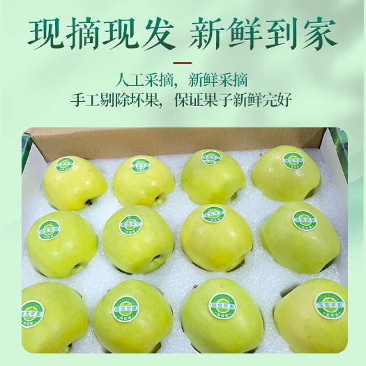瑞雪苹果陕西瑞雪青苹果产地供应一件代发商超供货