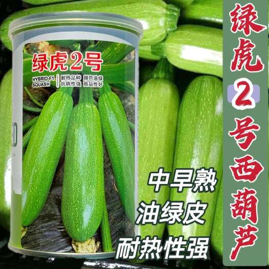 沭阳县绿虎2号西葫芦种子油绿皮高产早中熟耐热性强占瓜抗病蔬菜种籽