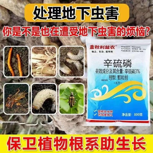潍坊3％辛硫磷 颗粒 防治根蛆韭蛆蛴螬地老虎地下害虫 抑制持久