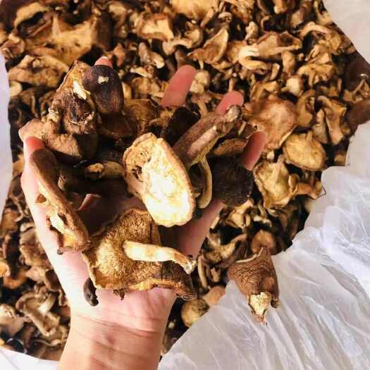 昆明香菇  规格齐全  保质保真  价格优惠