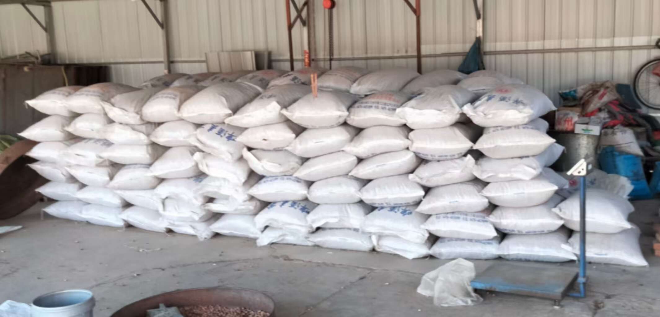 辽宁铁岭昌图产新鲜榛子 干果坚果优质货源 直发开原市