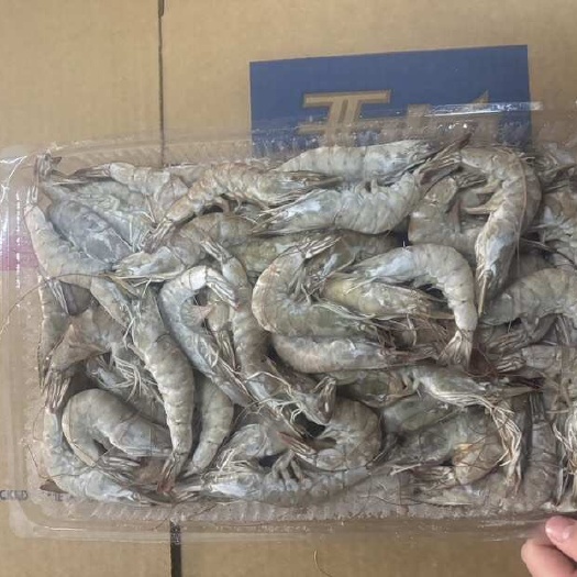 唐山现有60条大板虾5000斤.11.5元.要的抓紧联系
