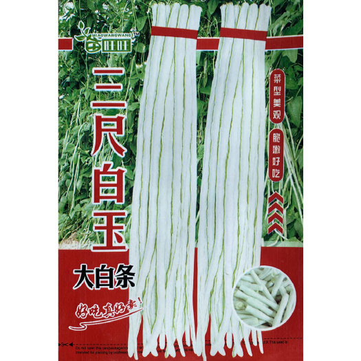 安仁县三尺白玉豆角种子大白条缸豆角种子蔬菜种子白豆角种子