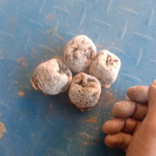 芮城县柿饼