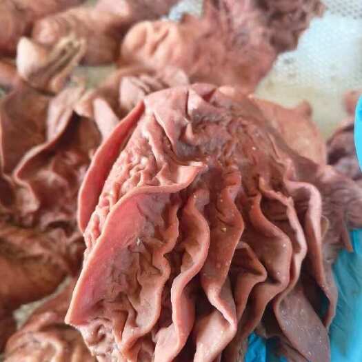河间市牛散带 碗口 五香水煮全熟牛杂
